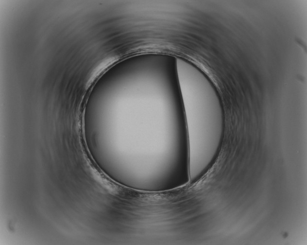 X0000091651042200708231006