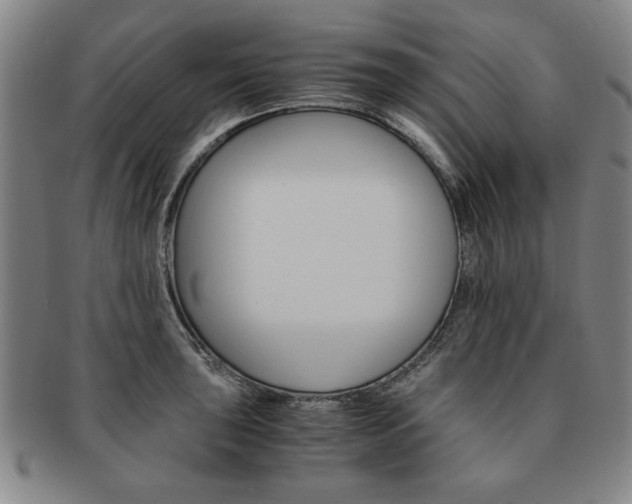 X0000091651043200708231006