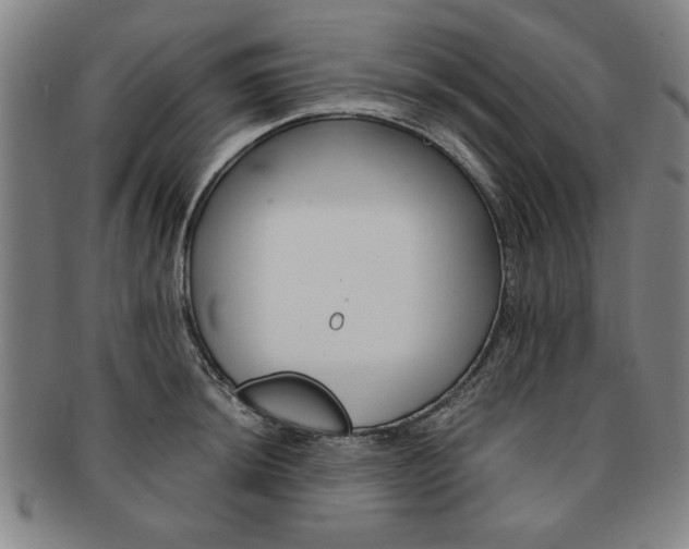 X0000091651044200708231006