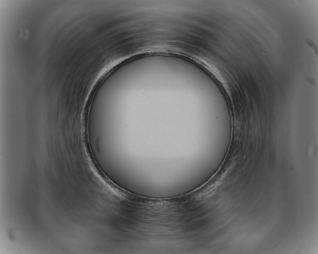 X0000091651045200708231006