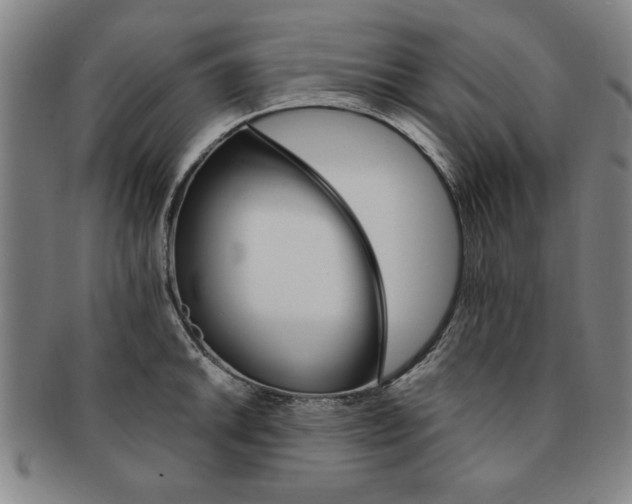 X0000091651046200708231006