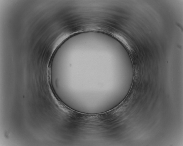 X0000091651047200708231006