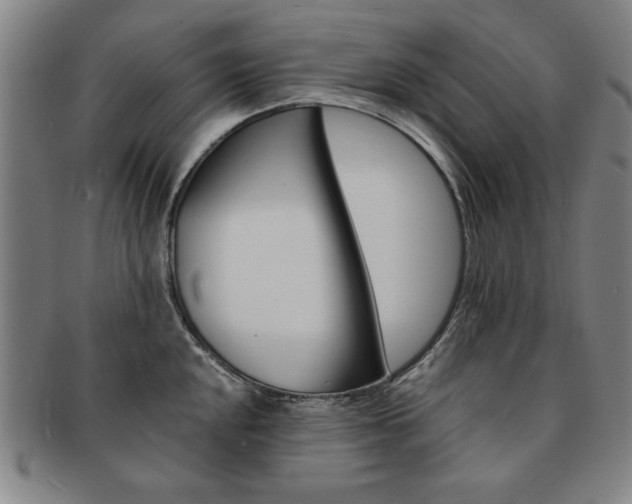 X0000091651048200708231006