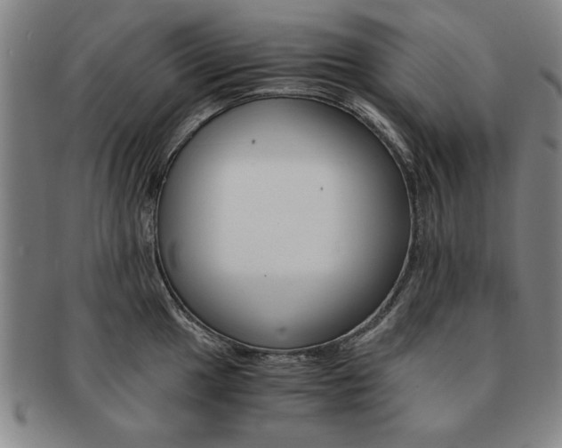 X0000091651049200708231006