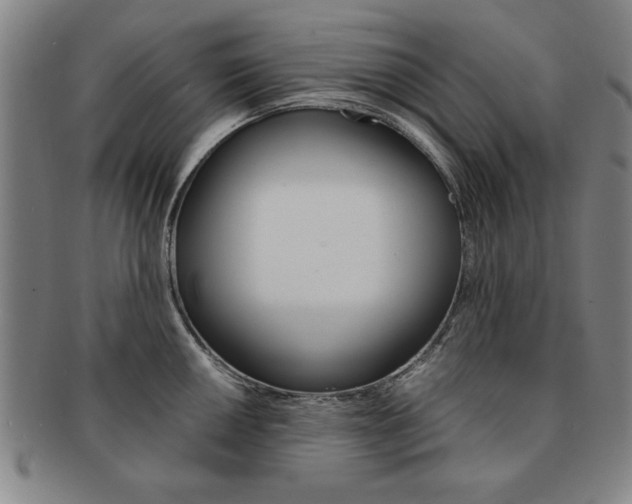 X0000091651050200708231006