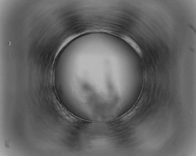 X0000091651052200708231006