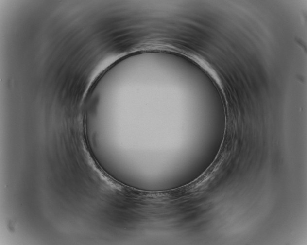 X0000091651053200708231006