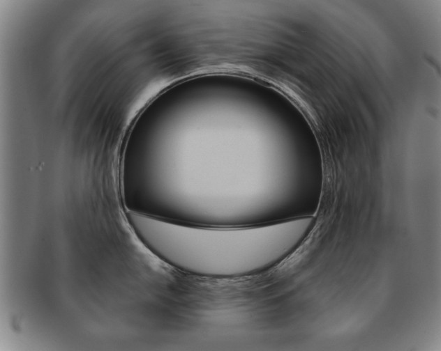 X0000091651054200708231006
