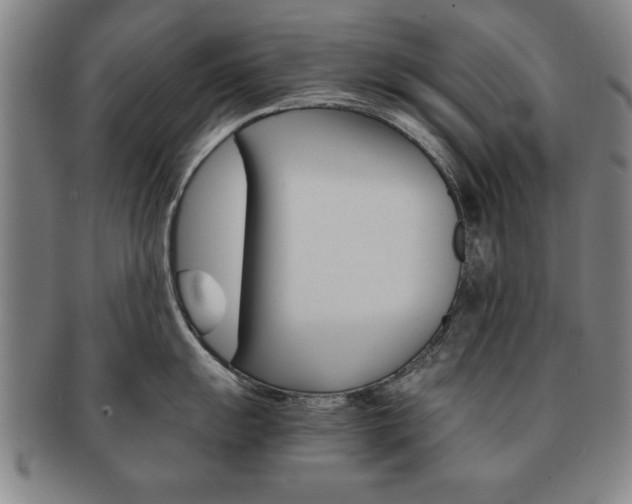 X0000091651055200708231006