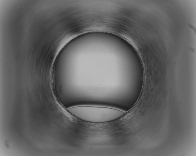 X0000091651056200708231006