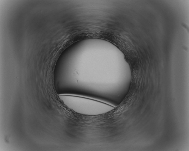 X0000091651057200708231005