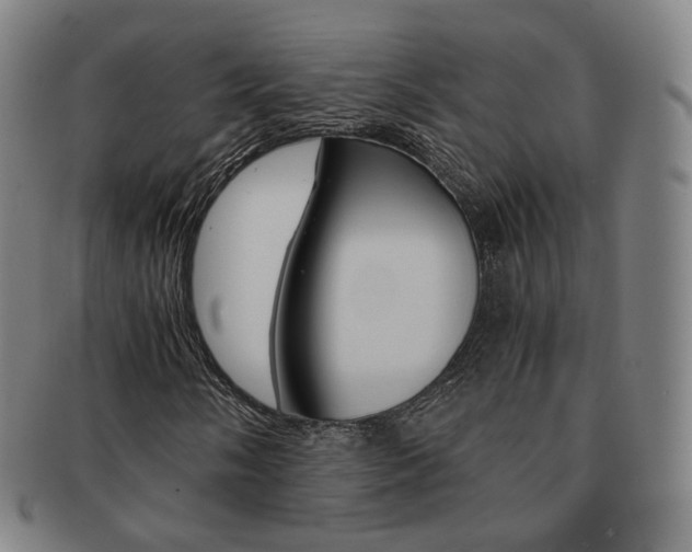 X0000091651058200708231005