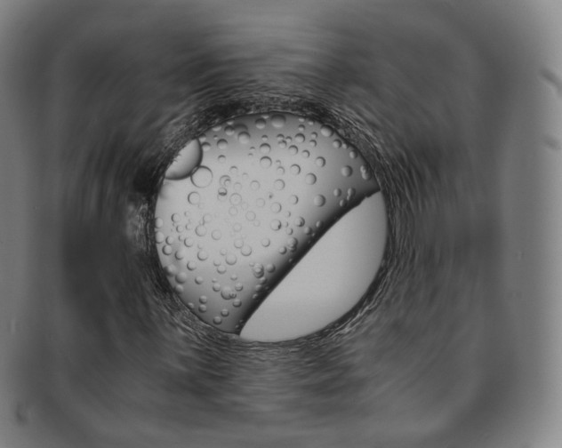 X0000091651059200708231005