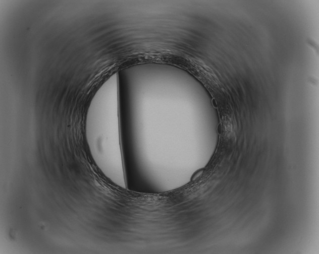 X0000091651060200708231005