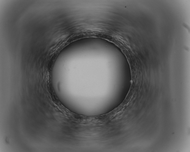 X0000091651061200708231005