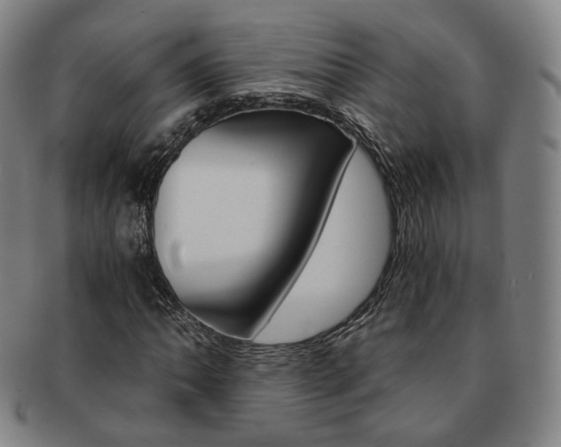 X0000091651062200708231005