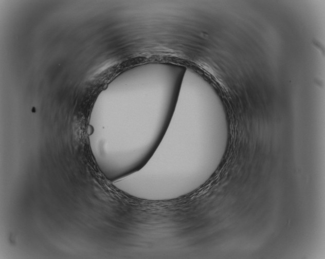 X0000091651063200708231005
