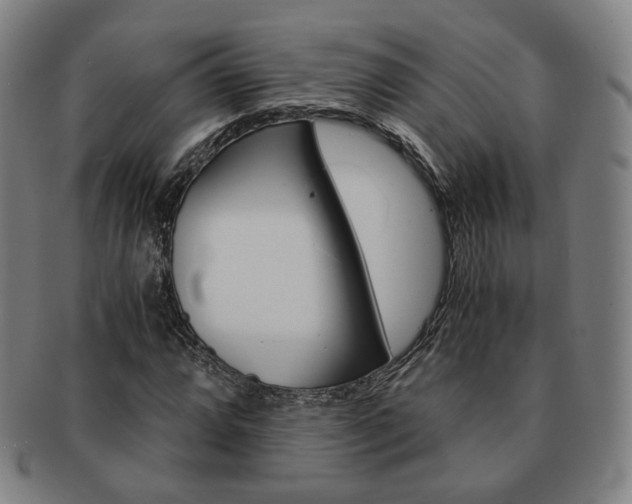X0000091651064200708231005