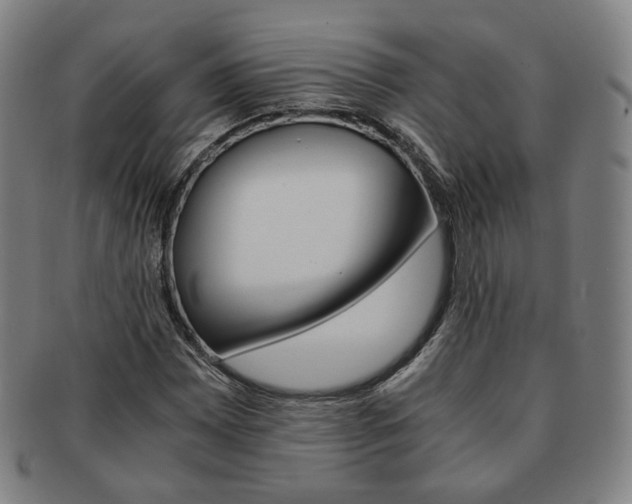 X0000091651065200708231005