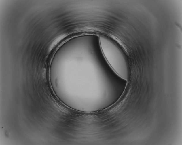X0000091651066200708231005