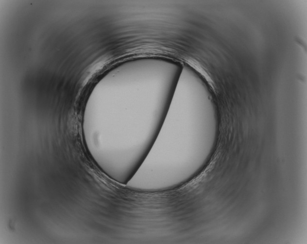 X0000091651067200708231005