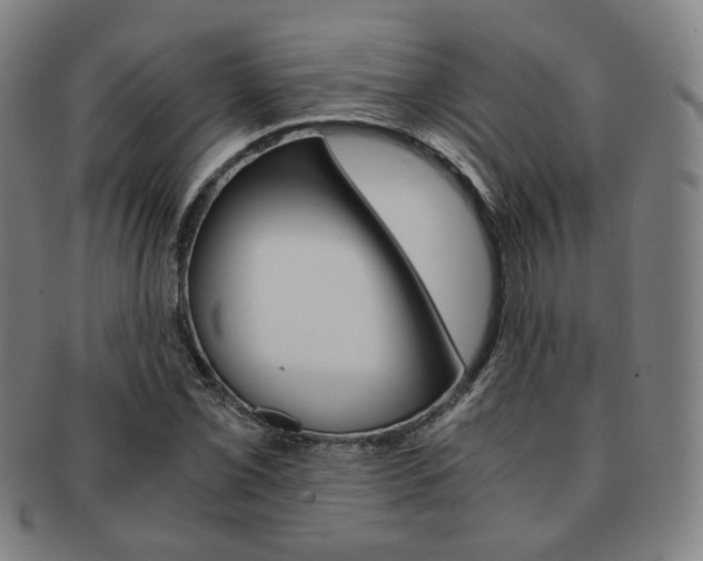 X0000091651069200708231005