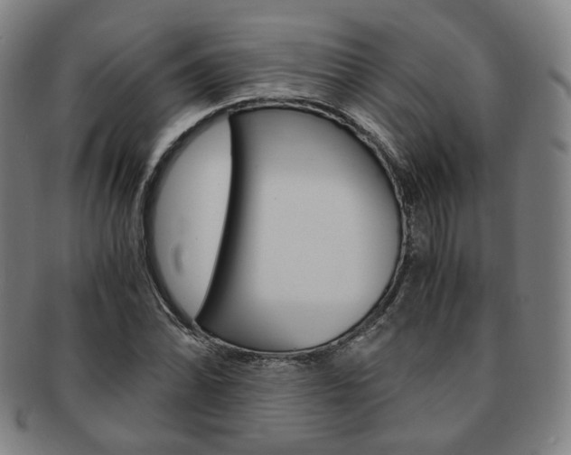 X0000091651070200708231005