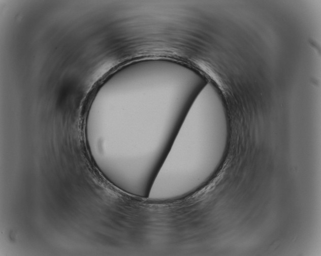 X0000091651071200708231005