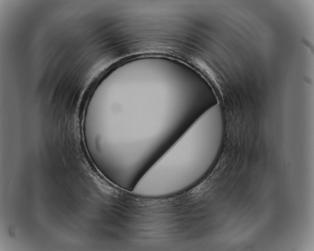 X0000091651072200708231005