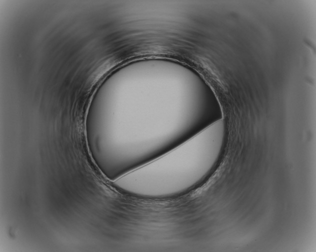 X0000091651073200708231005