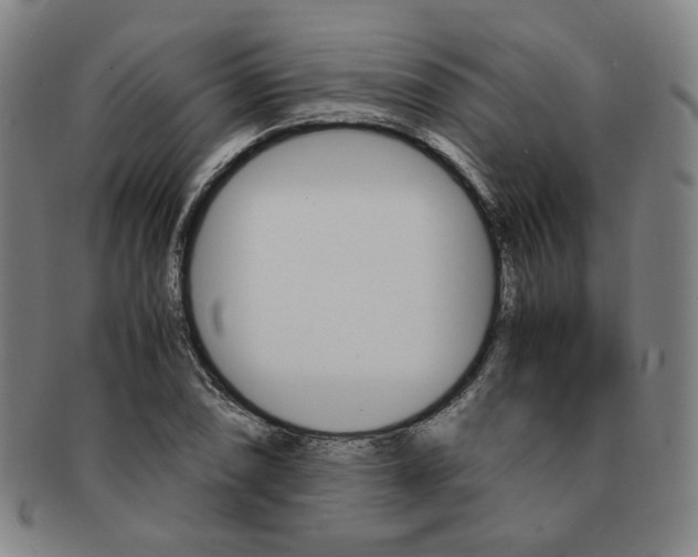 X0000091651074200708231005
