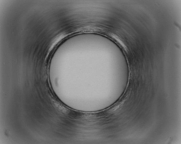 X0000091651075200708231005
