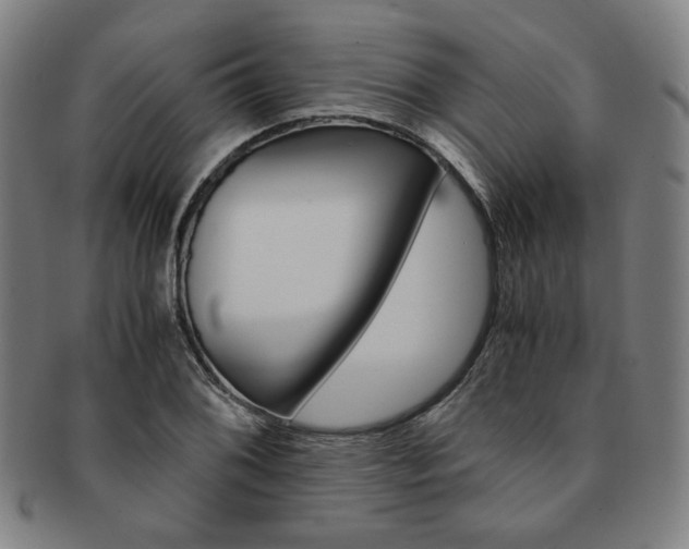 X0000091651076200708231005