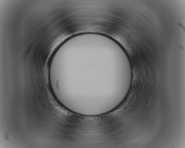 X0000091651078200708231005