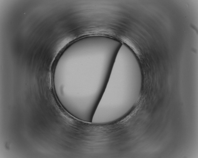 X0000091651079200708231005