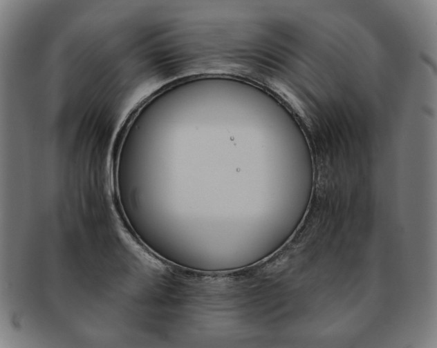 X0000091651080200708231005