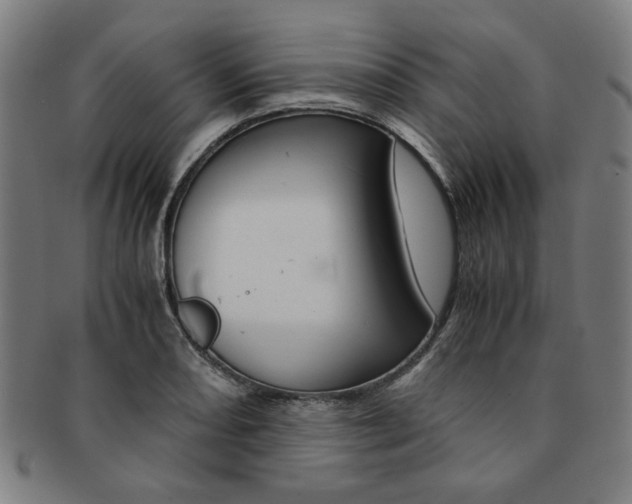 X0000091651082200708231005