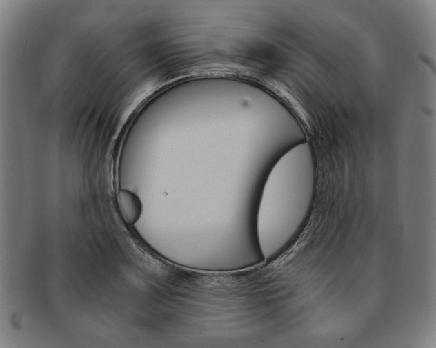 X0000091651083200708231005