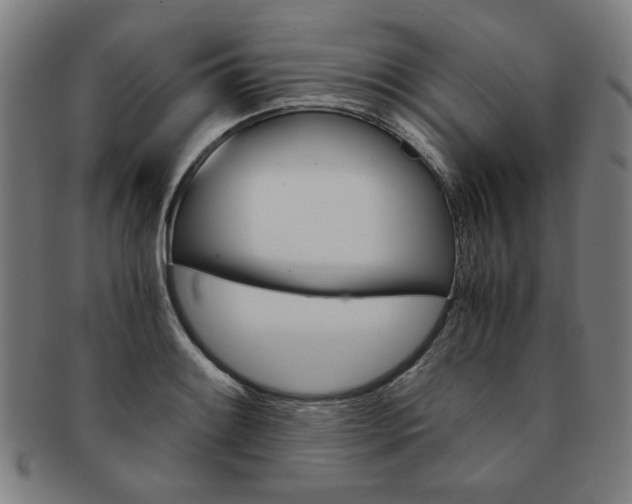 X0000091651084200708231005