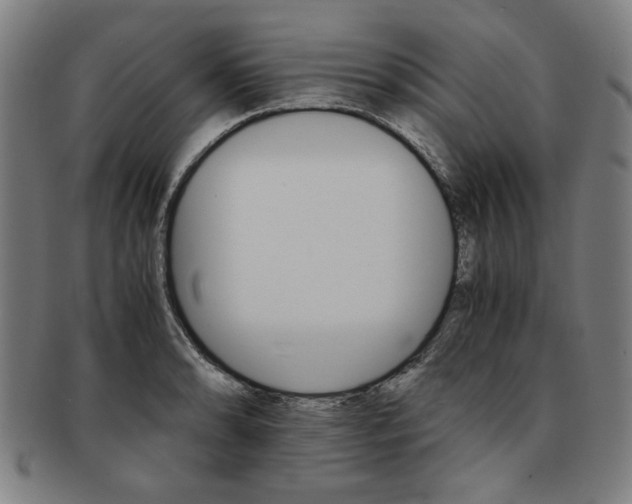 X0000091651086200708231005