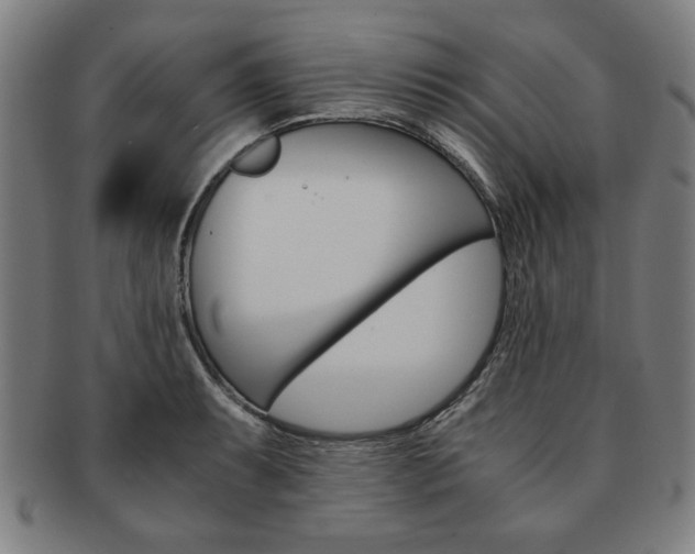 X0000091651087200708231005