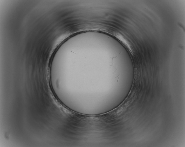 X0000091651088200708231005