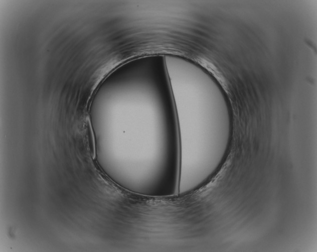 X0000091651089200708231005