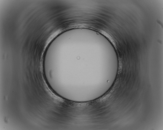 X0000091651090200708231005