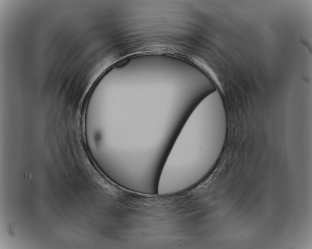 X0000091651091200708231005
