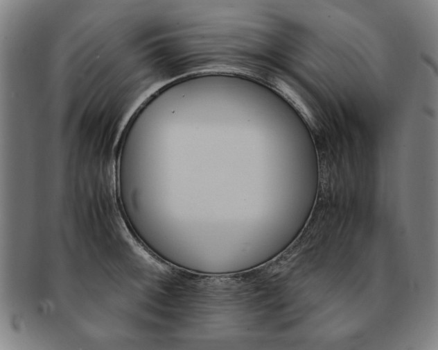X0000091651092200708231005