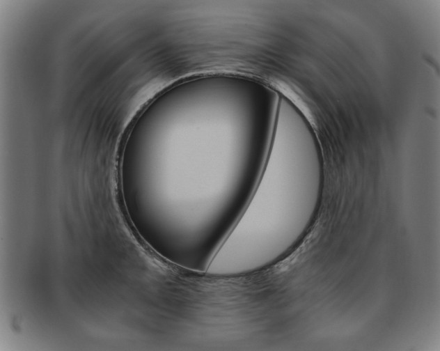 X0000091651093200708231005