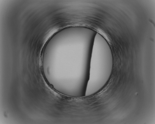 X0000091651095200708231005