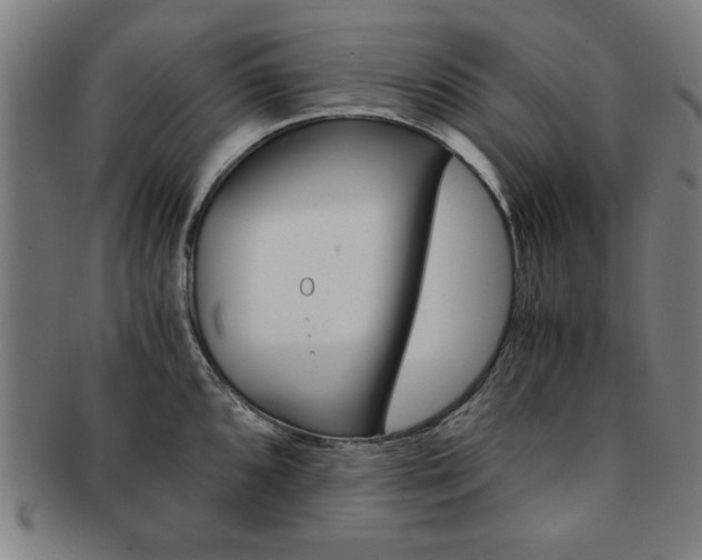 X0000091651096200708231005