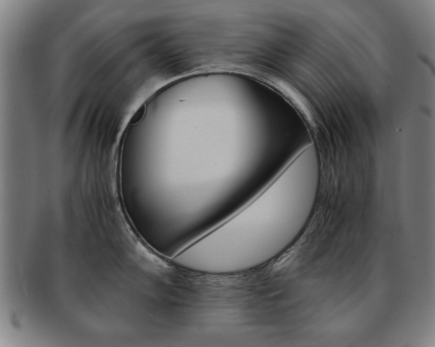 X0000091651102200708231004